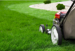 lawn mowing Adelaide