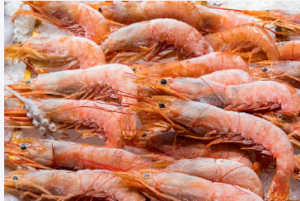 frozen prawns