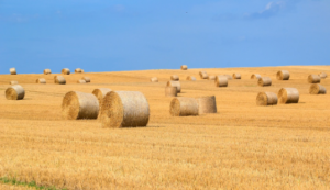 high tensile strength baling twine