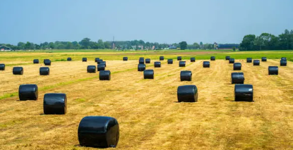 bale wrap