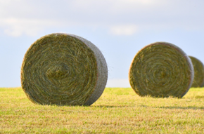 baling twine